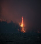 (기획특집)제주도의 오현(五賢)을 말하다(1) - 제주환경일보 (기획특집)제주도의 오현(五賢)을 말하다(1)