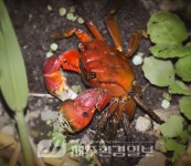 책 한 권의 온기.. 제이디씨파트너스, 새날도서방에 도서 기증 - 제주환경일보 책 한 권의 온기.. 제이디씨파트너스, 새날도서방에 도서 기증