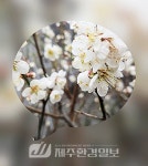 (주)뉴월드, 사회복지공동모금회 쌀 기탁 - 제주환경일보 (주)뉴월드, 사회복지공동모금회 쌀 기탁