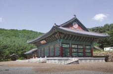 대구군위군 | 뉴스로