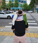 블라인드 | 강남 뉴스