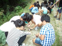 숲은 우리들의 놀이터, 숲과의 만남 인기 - 산림경영지원