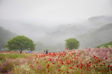 장려(중앙회장상) - 흐린날의 수채화