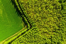 산림조합중앙회장상 - 목장과 메타쉐콰이어 숲