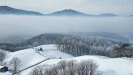 산림조합중앙회장상 - 양떼목장의 겨울