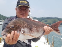 찌낚시조황 - 06/14 씨월드호 네분 초대박 참돔 쓸어담기 !!!