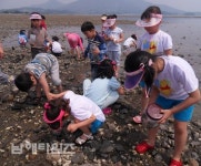 남해유치원, 이어리 갯벌체험학습 다녀와 - 남해시대 남해유치원, 이어리 갯벌체험학습 다녀와