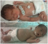 차면마을에 오누이 쌍둥이 탄생 - 고현면 소식 - 남해시대 차면마을에 오누이 쌍둥이 탄생 - 고현면 소식