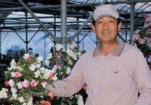 화전철쭉분재농원에 꽃 보러 오세요 - 남해시대 화전철쭉분재농원에 꽃 보러 오세요