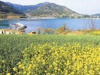 단 한번도! - 남해시대 단 한번도!