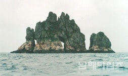 천(千)의 얼굴, 세존도(世尊島) - 남해시대 천(千)의 얼굴, 세존도(世尊島)
