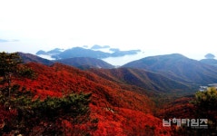 금산만추단풍 - 남해시대 금산만추단풍