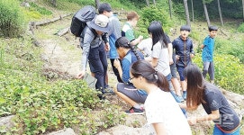 창선초등학교, 환경체험캠프 참여 - 남해시대 창선초등학교, 환경체험캠프 참여