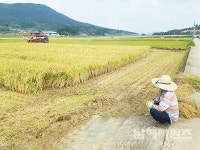 새남해농협 영농대행 벼수확기에 효자 - 남해시대 새남해농협 영농대행 벼수확기에 효자