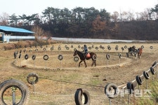 고현면 관당마을에 말타러 오세요 - 남해시대 고현면 관당마을에 말타러 오세요