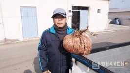 설천에서 초대형 고구마 발견 - 남해시대 설천에서 초대형 고구마 발견