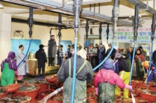 무술년도 남해 수산물 싱싱~ - 남해시대 무술년도 남해 수산물 싱싱~