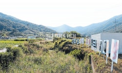 대지포온천 개발, 축소·현실화 후 재추진한다 - 남해시대 대지포온천 개발, 축소·현실화 후 재추진한다