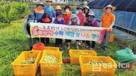 `나눔` 실천, 그루터기 노인복지센터 - 남해시대 `나눔` 실천, 그루터기 노인복지센터