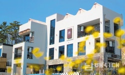 바다와 태양, 시선이 모이는 곳 설천면 시선카페&펜션 - 남해시대 바다와 태양, 시선이 모이는 곳 설천면 시선카페&펜션