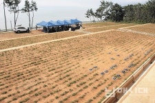 설천 고사 자연장지, 남해의 새로운 장묘문화 이끌까 - 남해시대 설천 고사 자연장지, 남해의 새로운 장묘문화 이끌까