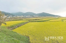 제4장 살아가는 의미 1 - 남해시대 제4장 살아가는 의미 1