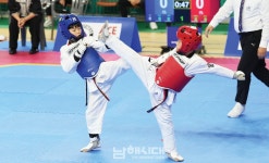 경남교육감기 태권도대회 남해서 성황리에 열려 - 남해시대 경남교육감기 태권도대회 남해서 성황리에 열려