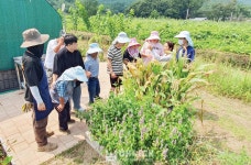 더불어 행복한 남해군 제1호 농촌돌봄농장 이야기 - 남해시대 더불어 행복한 남해군 제1호 농촌돌봄농장 이야기