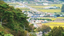 제13회 독일마을 맥주축제, 변화와 성장 속 남은 과제들 - 남해시대 제13회 독일마을 맥주축제, 변화와 성장 속 남은 과제들