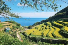 남해바래길 2차 연재 마무리 … 섬과 마을을 잇다 - 남해시대 남해바래길 2차 연재 마무리 … 섬과 마을을 잇다