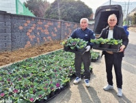 보천육묘장 하경원 대표 꽃양배추 기증 - 남해시대 보천육묘장 하경원 대표 꽃양배추 기증