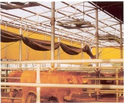 축산연구사진 < 역사관 < 기관소개 < 국립축산과학원