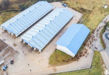 축산연구사진 < 역사관 < 기관소개 < 국립축산과학원