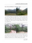 생태·경관보전지역 정밀조사 : 왕피천 유역