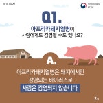 <사람은 감염되지 않습니다> 아프리카돼지열병 Q&A | 이달의건강소식 | 알림·자료 : 질병관리청 질병관리청