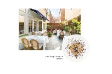 Osteria Cotto - 노블레스닷컴 Osteria Cotto