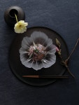 식탁위에 피어난 봄꽃 - 노블레스닷컴 식탁위에 피어난 봄꽃