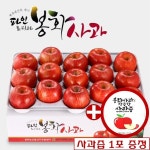 농협몰 [사과즙1포증정]파인토피아 봉화사과 5kg(중소과/24-26과)