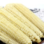 농협몰 무주 대학 찰옥수수(냉동), 4팩*3개(12개입)