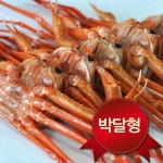 농협몰 영덕박달홍게 7마리(중/마리당 450g~500g/수율 90%)