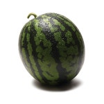 농협몰 하우스 수박