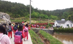 산속농장 | 농사로 산속농장