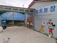 지희농장 | 농사로 지희농장