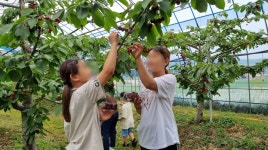 지희농장 | 농사로 지희농장