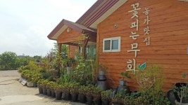 꽃피는 무화家 | 농사로 꽃피는 무화家