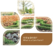 치유농장이란? | 농사로 치유농장이란