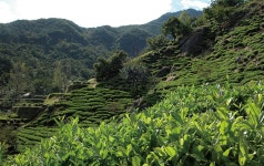 포털서비스 | 농사로