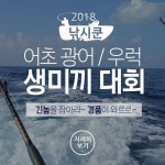 (西)서해조황 - [낚시쿤] 상금100만원+ 어초 광어/우럭 생미끼 낚시대회. 대천항 No.1 낚시전용선단 낚시쿤 - 대천항 셔틀버스 운행(팀싸파)... 