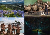 [뉴질랜드 현지여행사 에이투지] ♥12월♥집.중.모.객♥ > 세일중 | 뉴질랜드 코리아 포스트 :: 뉴질랜드 교민을 위한 커뮤니티 [뉴질랜드... 