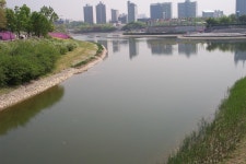 [드림]디카신문고 회원님들께 헌화합니다. - 르포, 스쿠프, 제보 갤러리